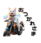 敬語♡バイク好き ねこ（個別スタンプ：3）