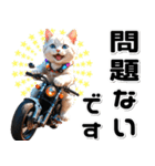 敬語♡バイク好き ねこ（個別スタンプ：8）