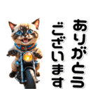 敬語♡バイク好き ねこ（個別スタンプ：9）