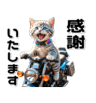 敬語♡バイク好き ねこ（個別スタンプ：10）