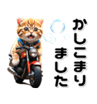 敬語♡バイク好き ねこ（個別スタンプ：12）