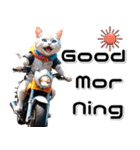 敬語♡バイク好き ねこ（個別スタンプ：13）