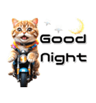 敬語♡バイク好き ねこ（個別スタンプ：15）