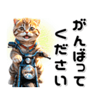 敬語♡バイク好き ねこ（個別スタンプ：17）