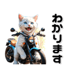 敬語♡バイク好き ねこ（個別スタンプ：24）