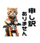 敬語♡バイク好き ねこ（個別スタンプ：31）