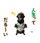 黒ラブのゆるサマー★スタンプ（個別スタンプ：6）
