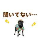 黒ラブのゆるサマー★スタンプ（個別スタンプ：7）