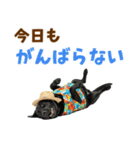黒ラブのゆるサマー★スタンプ（個別スタンプ：10）