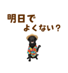 黒ラブのゆるサマー★スタンプ（個別スタンプ：11）