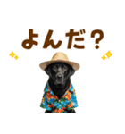 黒ラブのゆるサマー★スタンプ（個別スタンプ：14）