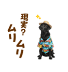 黒ラブのゆるサマー★スタンプ（個別スタンプ：19）