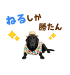 黒ラブのゆるサマー★スタンプ（個別スタンプ：22）