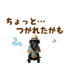 黒ラブのゆるサマー★スタンプ（個別スタンプ：28）