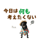 黒ラブのゆるサマー★スタンプ（個別スタンプ：30）