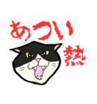 【暑い】しゃーッ！夏の白黒にゃんず（個別スタンプ：1）