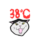 【暑い】しゃーッ！夏の白黒にゃんず（個別スタンプ：14）