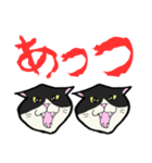 【暑い】しゃーッ！夏の白黒にゃんず（個別スタンプ：17）