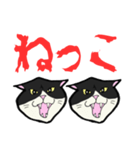 【暑い】しゃーッ！夏の白黒にゃんず（個別スタンプ：21）