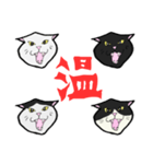 【暑い】しゃーッ！夏の白黒にゃんず（個別スタンプ：31）