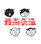 【暑い】しゃーッ！夏の白黒にゃんず（個別スタンプ：34）