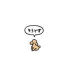 トイプードル(フキダシ)（個別スタンプ：9）