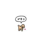 トイプードル(フキダシ)（個別スタンプ：14）