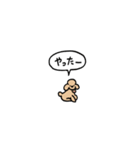 トイプードル(フキダシ)（個別スタンプ：20）