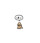 トイプードル(フキダシ)（個別スタンプ：24）