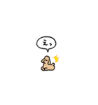 トイプードル(フキダシ)（個別スタンプ：26）