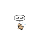 トイプードル(フキダシ)（個別スタンプ：29）