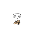 トイプードル(フキダシ)（個別スタンプ：31）