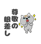 【デカ文字】ネコ三兄弟二郎30（個別スタンプ：16）