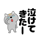 【デカ文字】ネコ三兄弟二郎30（個別スタンプ：20）