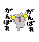 【デカ文字】ネコ三兄弟二郎30（個別スタンプ：21）