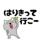 【デカ文字】ネコ三兄弟二郎30（個別スタンプ：22）