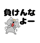 【デカ文字】ネコ三兄弟二郎30（個別スタンプ：24）