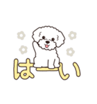 『トイプードル』毎日使えるデカ文字．5（個別スタンプ：2）
