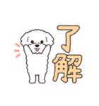 『トイプードル』毎日使えるデカ文字．5（個別スタンプ：3）