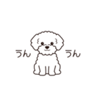『トイプードル』毎日使えるデカ文字．5（個別スタンプ：4）