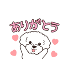 『トイプードル』毎日使えるデカ文字．5（個別スタンプ：5）