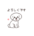『トイプードル』毎日使えるデカ文字．5（個別スタンプ：11）