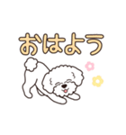 『トイプードル』毎日使えるデカ文字．5（個別スタンプ：13）