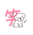『トイプードル』毎日使えるデカ文字．5（個別スタンプ：18）