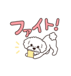 『トイプードル』毎日使えるデカ文字．5（個別スタンプ：20）