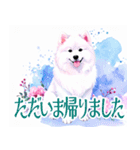 大人可愛い敬語サモエドスタンプ（個別スタンプ：6）