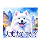 大人可愛い敬語サモエドスタンプ（個別スタンプ：12）