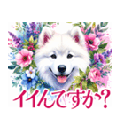 大人可愛い敬語サモエドスタンプ（個別スタンプ：15）