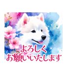 大人可愛い敬語サモエドスタンプ（個別スタンプ：16）