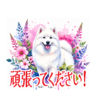 大人可愛い敬語サモエドスタンプ（個別スタンプ：18）
